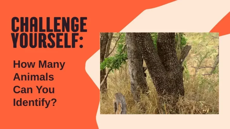 Mind-Bending Optical Illusion: Can You Spot All the Hidden Animals in This Image?