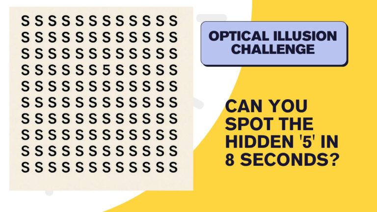 Optical Illusion Challenge