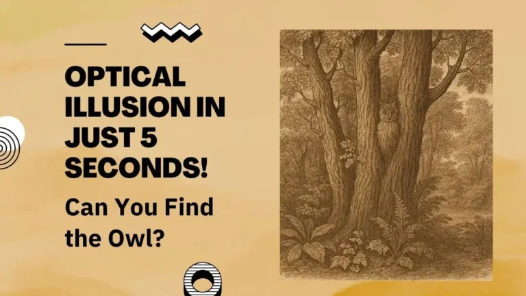 Only a Genius Can Spot the Hidden Owl in This Optical Illusion in Just 5 Seconds!