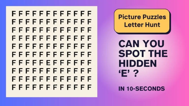 Picture Puzzles Letter Hunt