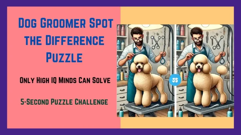 Spot the Difference Puzzle