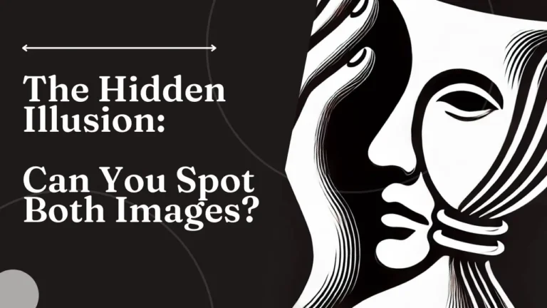 The Hidden Illusion