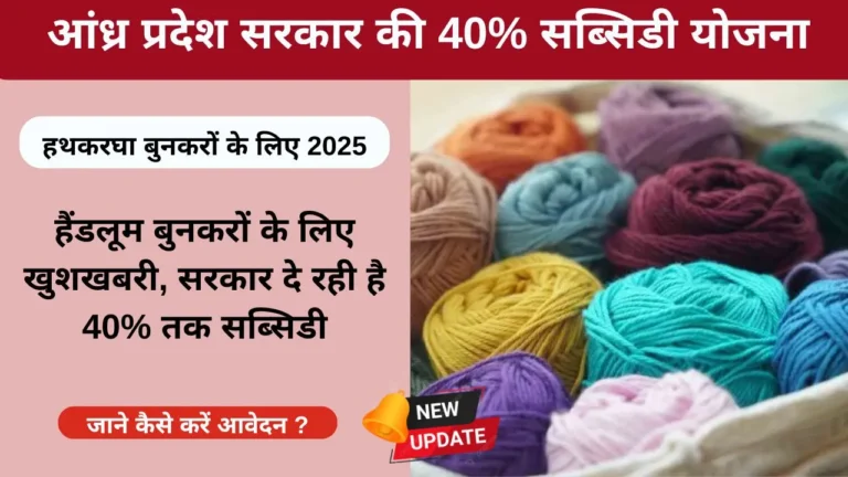 AP handloom subsidy scheme