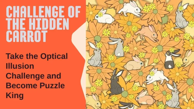 Challenge of the Hidden Carrot