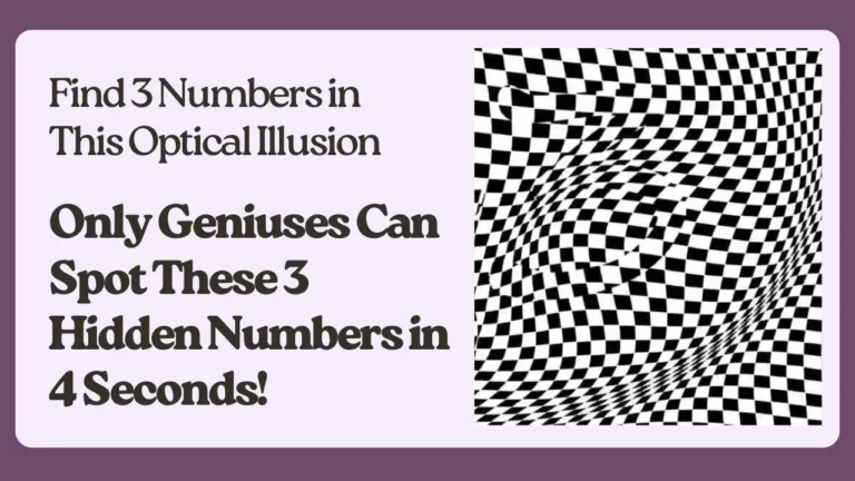 Find 3 Numbers in This Optical Illusion