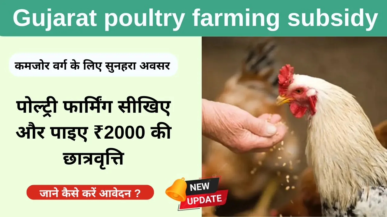 Gujarat poultry farming subsidy