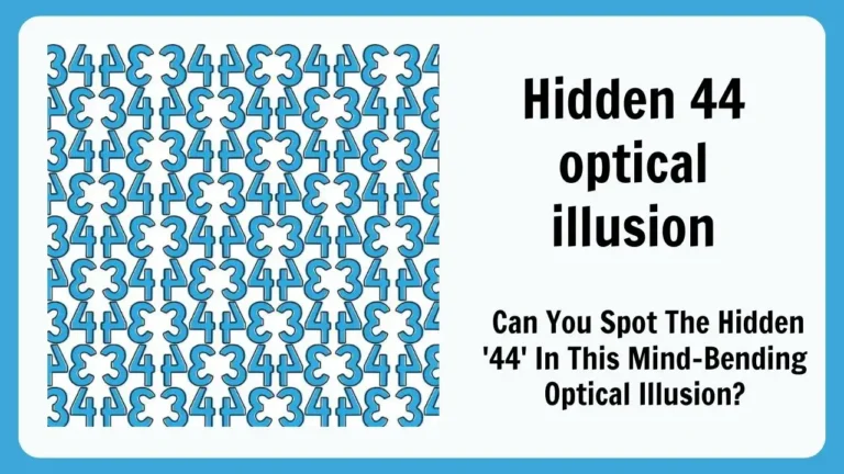 Hidden 44 optical illusion