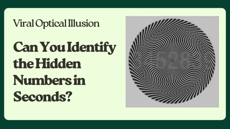 Hidden Numbers in Seconds