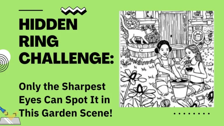 Hidden Ring Challenge