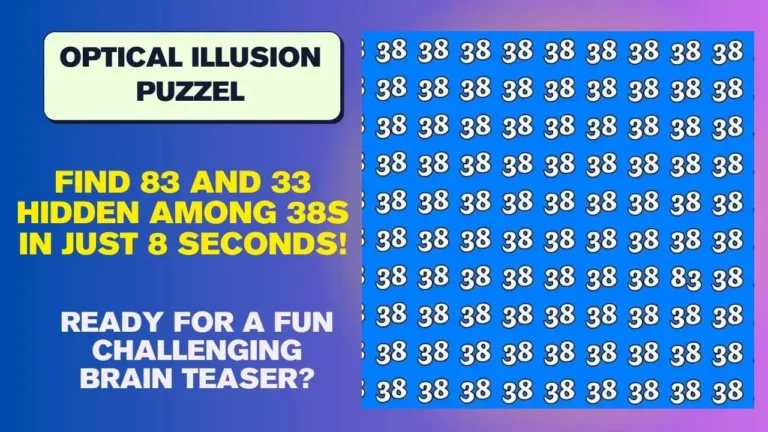 Hidden numbers puzzle