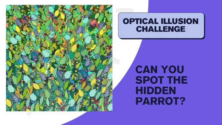 Hidden parrot optical illusion