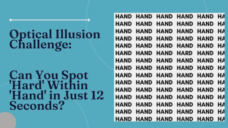Optical Illusion Challenge