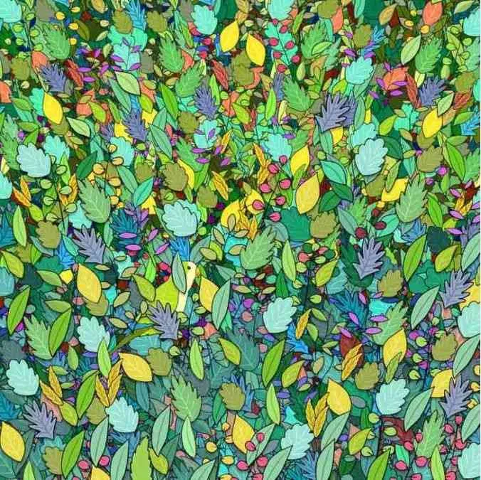 Optical illusion find the parrots