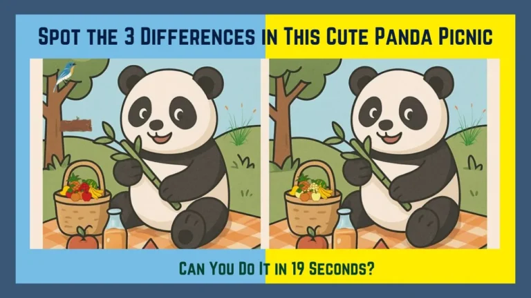 Spot the 3 Differences