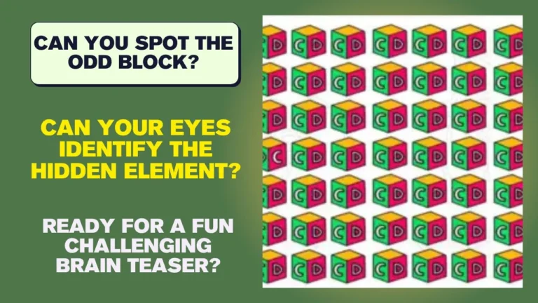 Only the Sharp-Eyed Can Solve This Optical Illusion: Find the Odd Block!