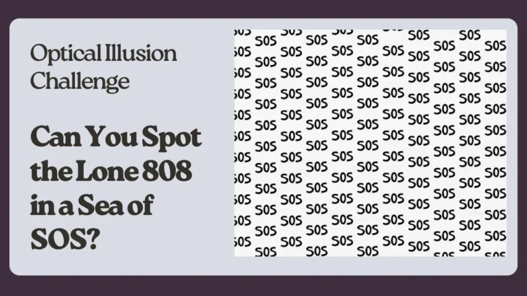 Spot the Difference Illusion