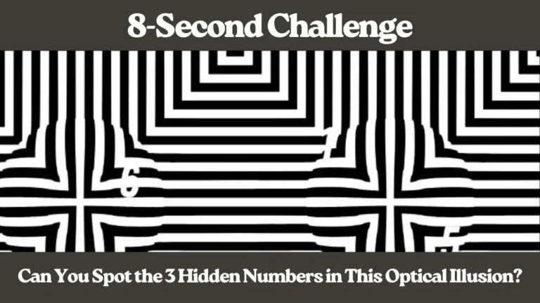 8-Second Challenge: Can You Spot the 3 Hidden Numbers in This Optical Illusion?
