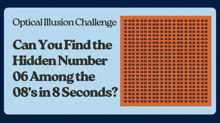 hidden number challenge