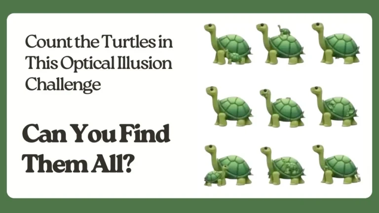 Only the Sharpest Eyes Can Spot All the Hidden Turtles in This Tricky Puzzle