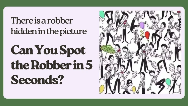 spot the hidden robber