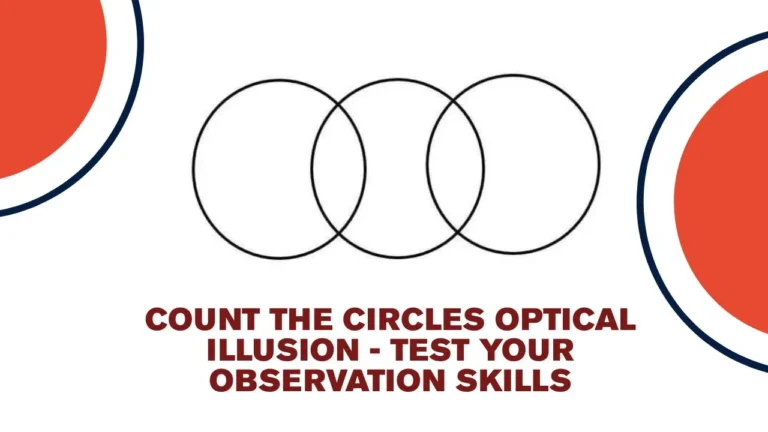 visual puzzle circle count